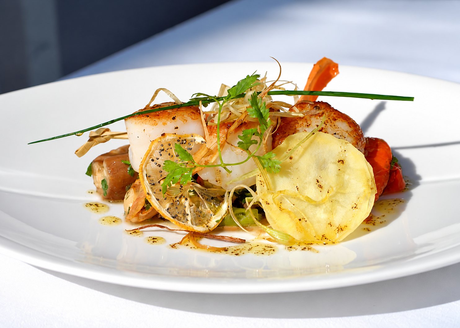 Une assiette blanche dressée avec des Saint-Jacques dorées, une chips de pomme de terre, une tranche de citron confit, des herbes fraîches et un filet de sauce.