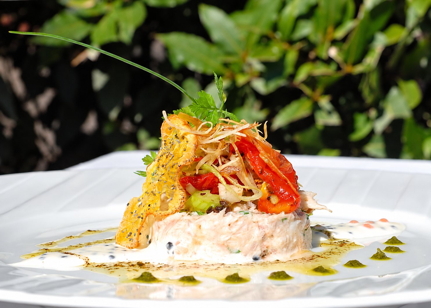 Une assiette blanche élégante présente un dressage raffiné de poisson émietté surmonté de tomates confites, d'une chips dorée et d'herbes fraîches, entouré de sauce crémeuse et de gouttes vertes, devant un feuillage sombre.